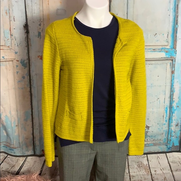 ann taylor loft cardigan